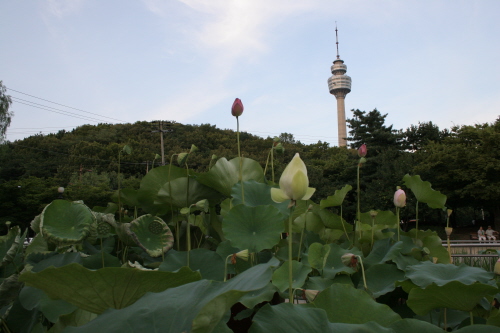 사용자 삽입 이미지