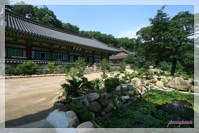 사용자 삽입 이미지