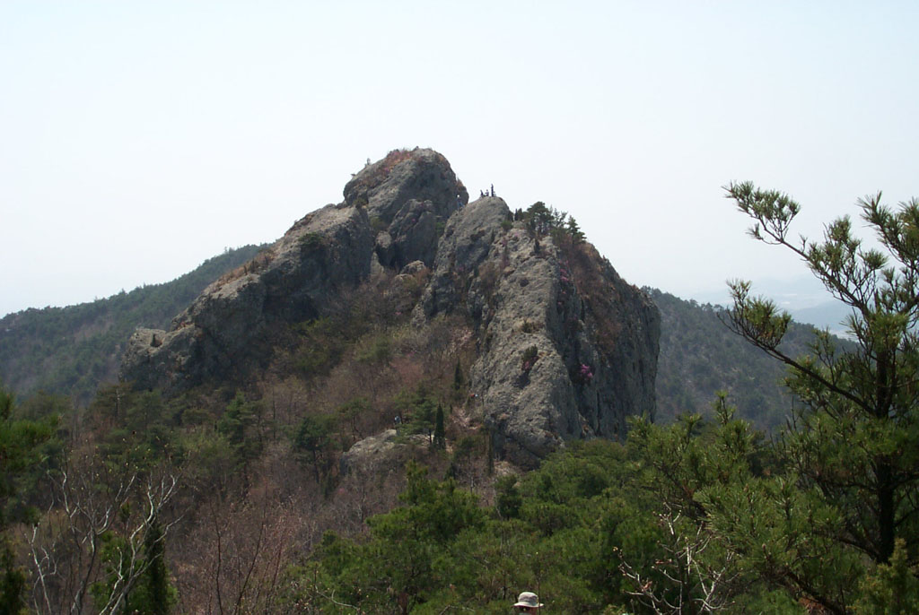 사용자 삽입 이미지