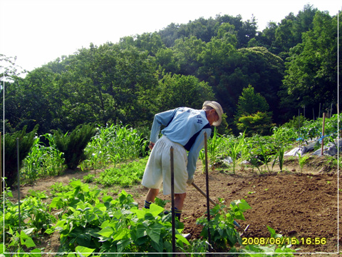 사용자 삽입 이미지