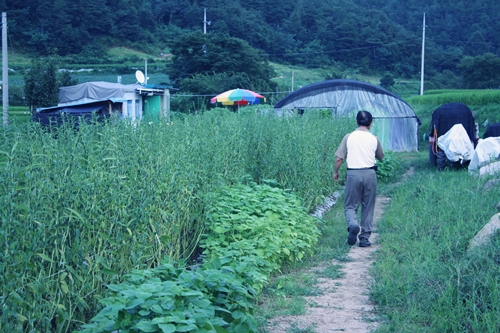 사용자 삽입 이미지