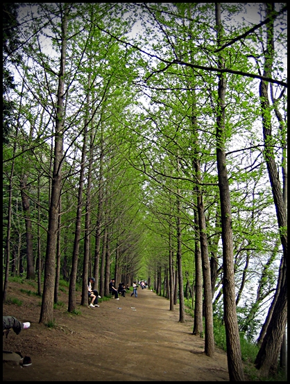 사용자 삽입 이미지