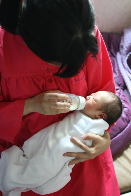 사용자 삽입 이미지