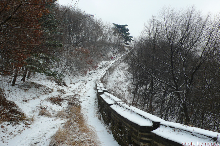 사용자 삽입 이미지