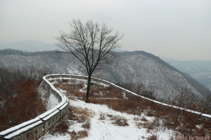 사용자 삽입 이미지