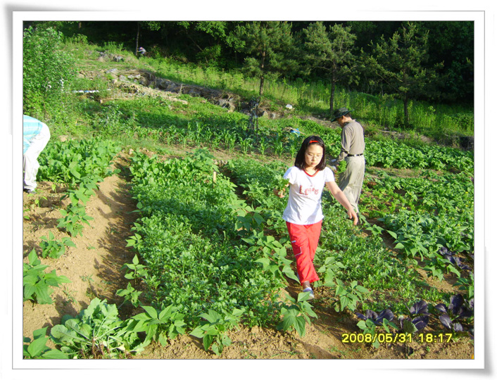 사용자 삽입 이미지