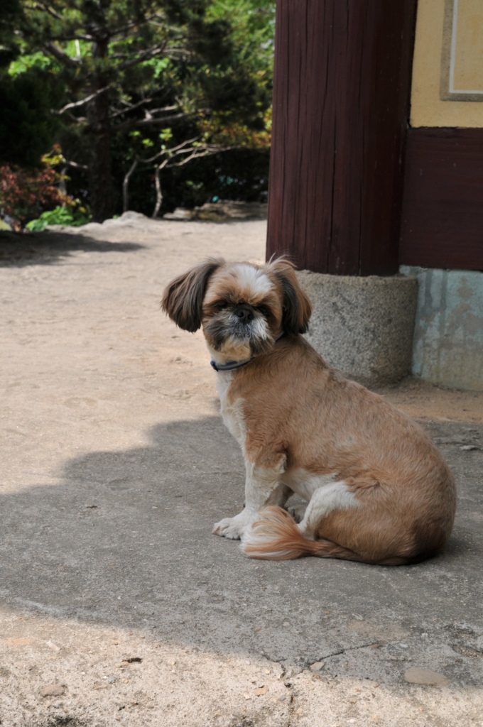 사용자 삽입 이미지