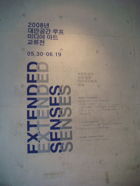 확장된 감각 