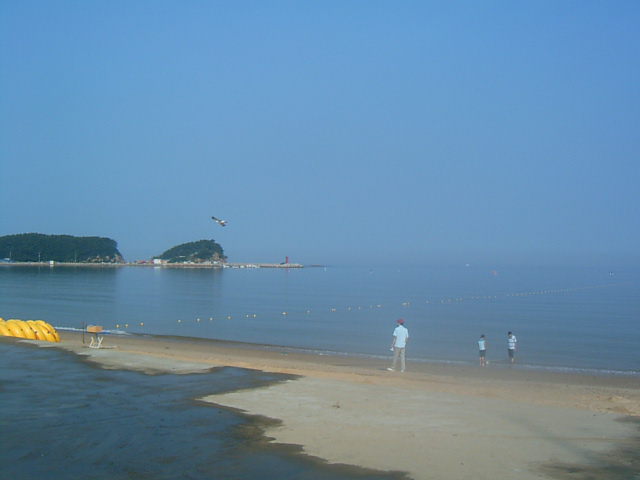 사용자 삽입 이미지