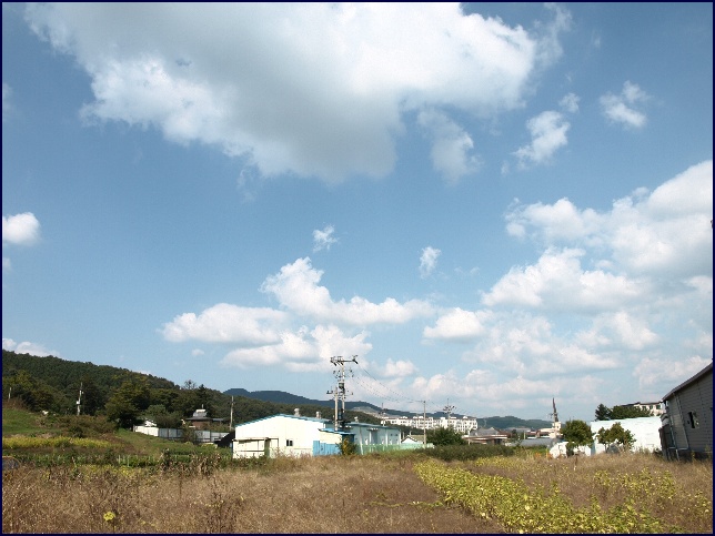 사용자 삽입 이미지