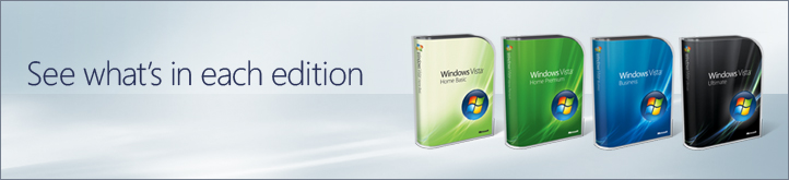 MS Windows Vista