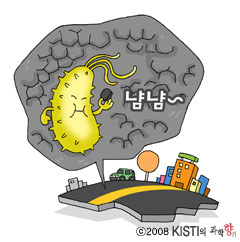 사용자 삽입 이미지