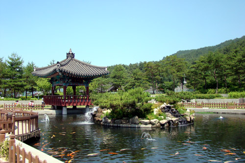 사용자 삽입 이미지