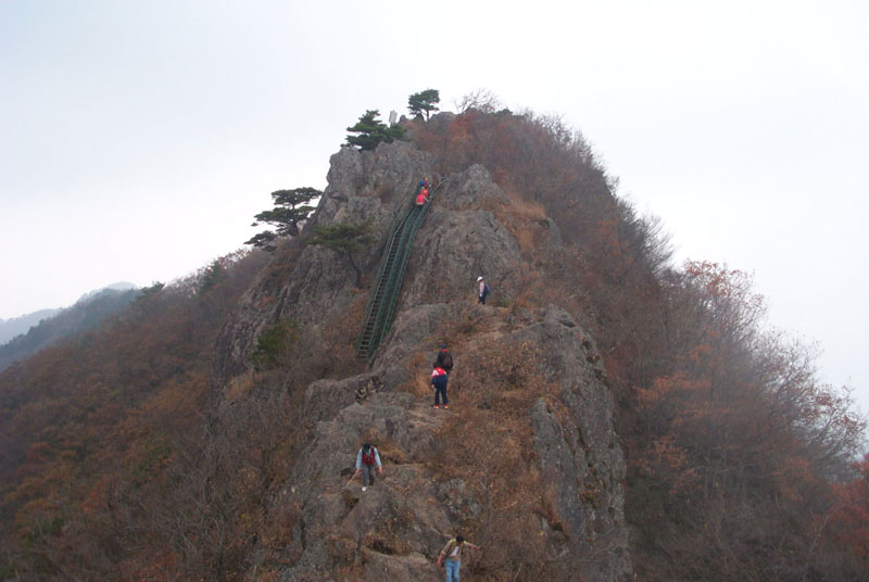 사용자 삽입 이미지