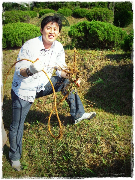 사용자 삽입 이미지