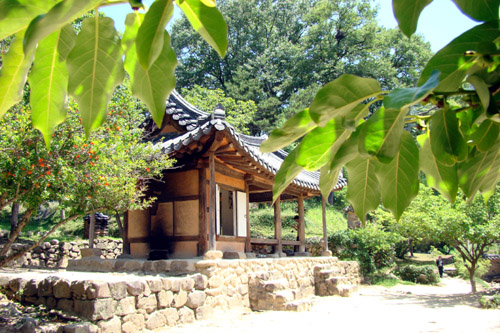 사용자 삽입 이미지