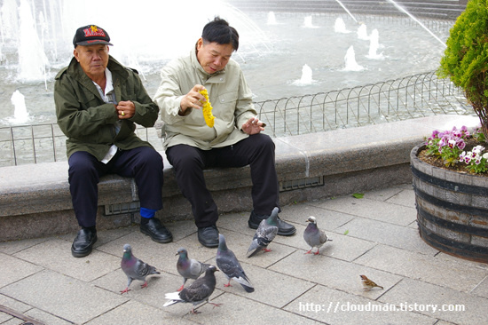 사용자 삽입 이미지