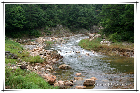 사용자 삽입 이미지