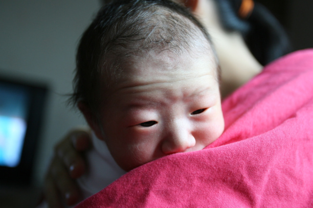 사용자 삽입 이미지
