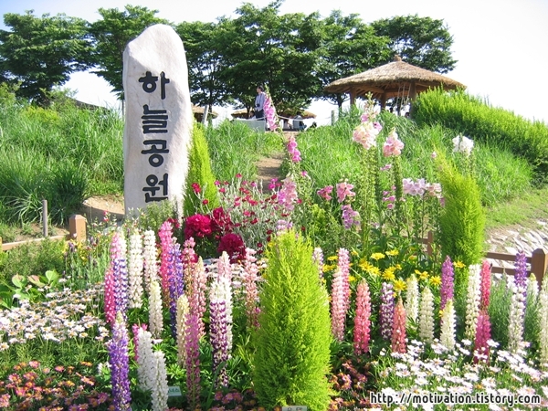 사용자 삽입 이미지