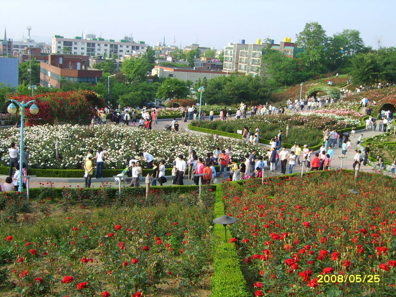 부천 도당산 장미공원