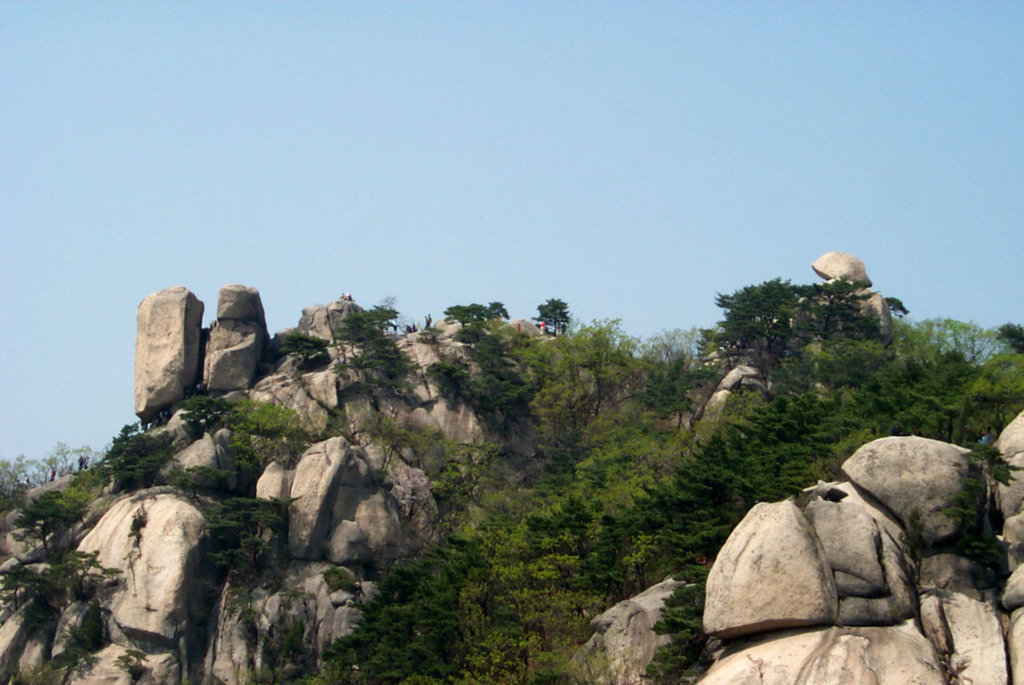 사용자 삽입 이미지