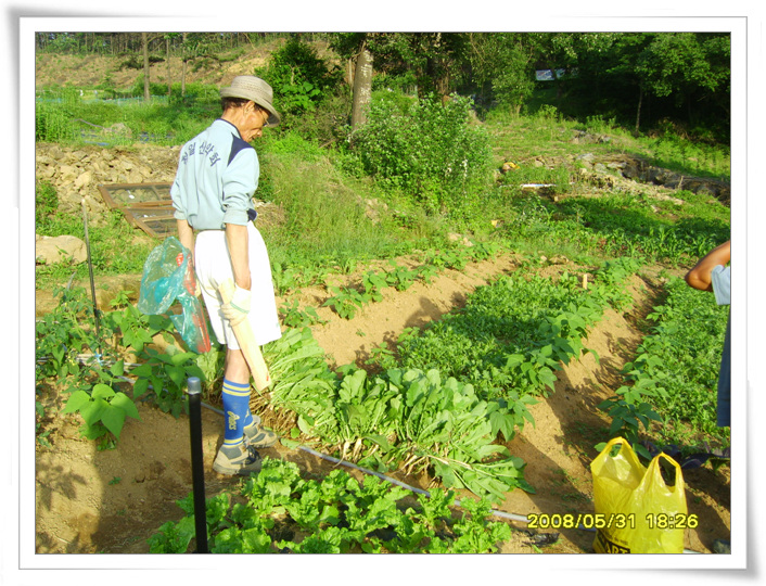 사용자 삽입 이미지