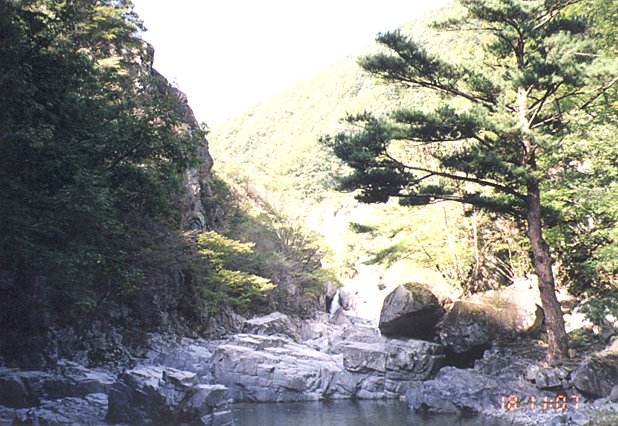 사용자 삽입 이미지