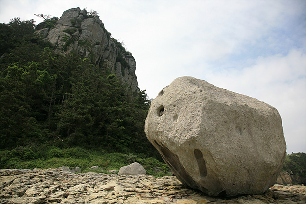 사용자 삽입 이미지