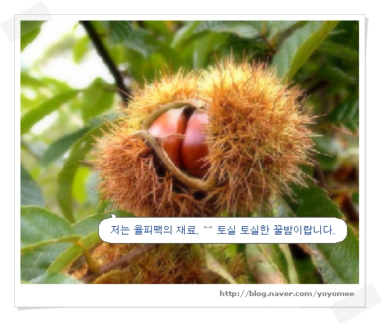 사용자 삽입 이미지