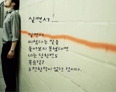 사용자 삽입 이미지