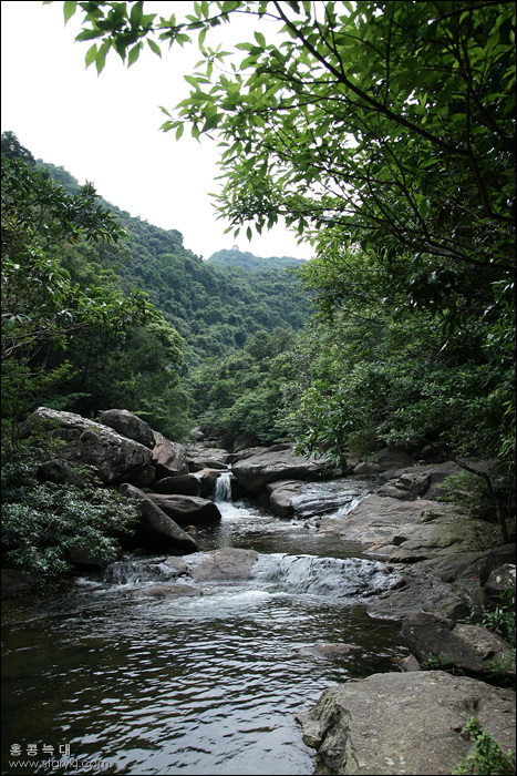 사용자 삽입 이미지