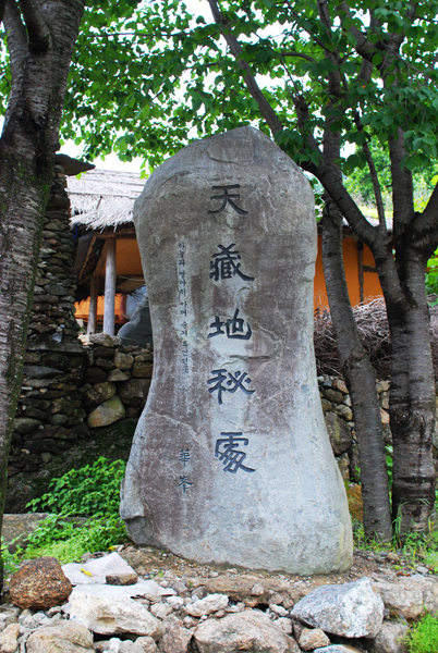 사용자 삽입 이미지