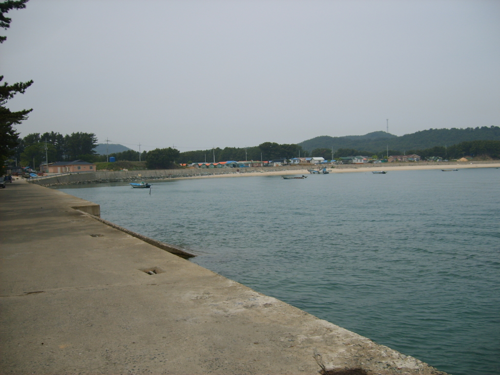 사용자 삽입 이미지
