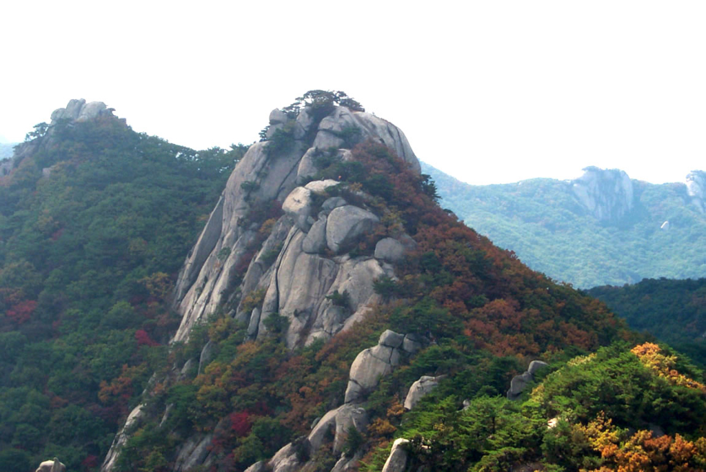 사용자 삽입 이미지