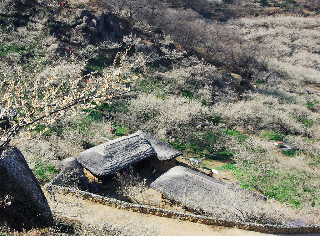 사용자 삽입 이미지