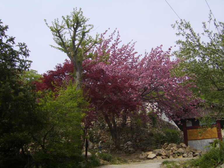 사용자 삽입 이미지