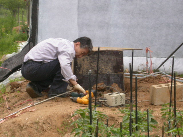 사용자 삽입 이미지