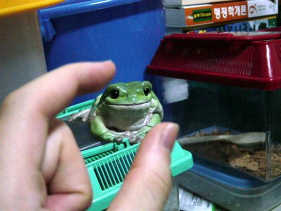 사용자 삽입 이미지