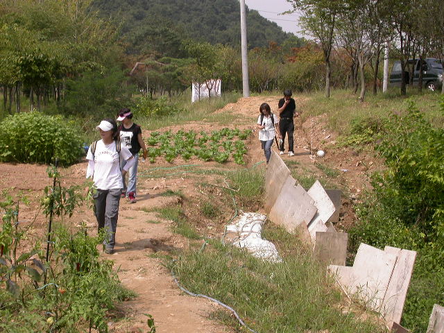 사용자 삽입 이미지