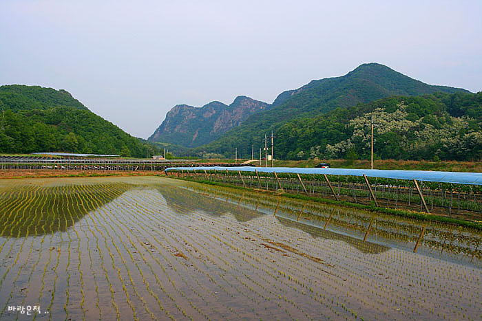 사용자 삽입 이미지