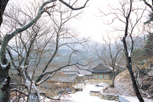 사용자 삽입 이미지