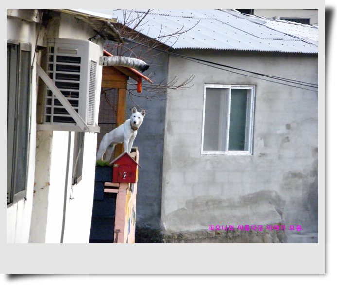 사용자 삽입 이미지