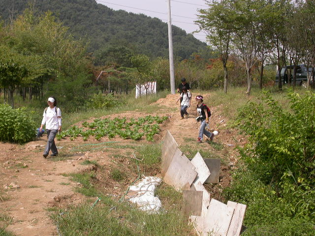 사용자 삽입 이미지
