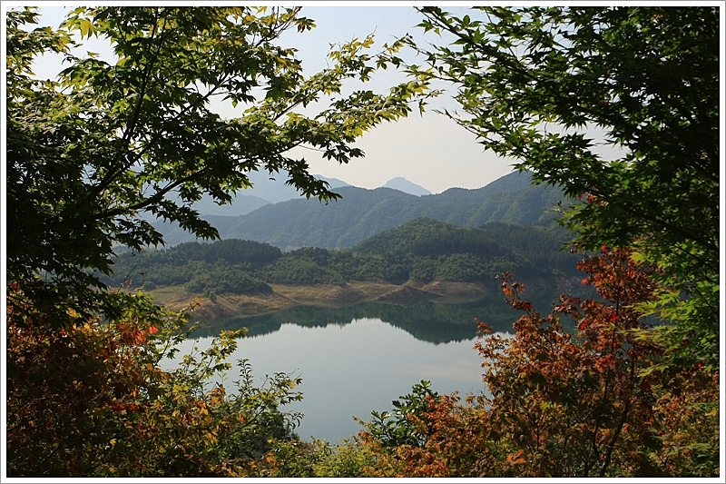 사용자 삽입 이미지