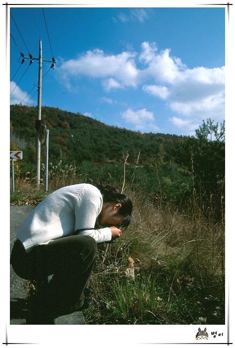 사용자 삽입 이미지
