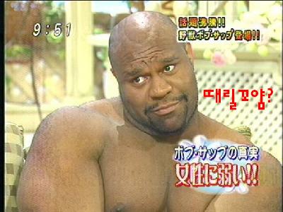 사용자 삽입 이미지