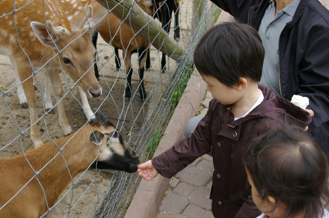 사용자 삽입 이미지