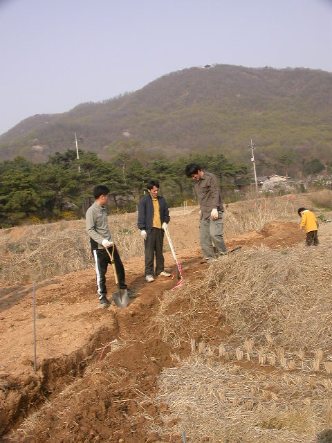 User-created