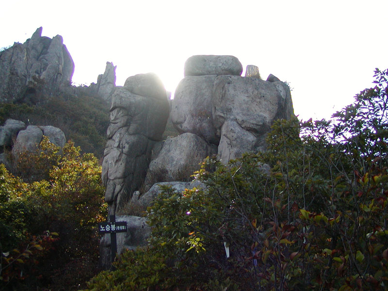 사용자 삽입 이미지